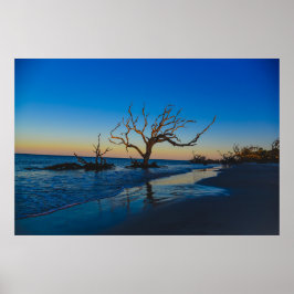 Driftwood Beach Jekyll Island Georgia USA Poster
