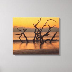 Driftwood Beach vid soluppgång Jekyll Island Georg Canvastryck