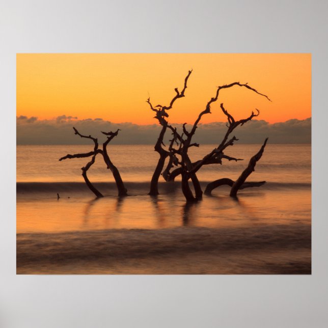 Driftwood Beach vid soluppgång Jekyll Island Georg Poster (Framsidan)