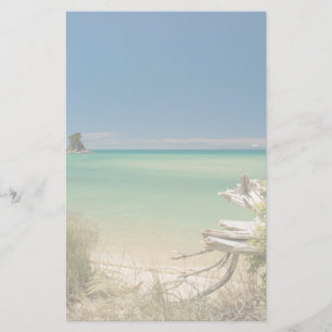 Driftwood Brevpapper