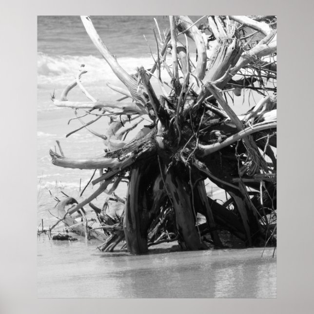 Driftwood Burial Poster (Framsidan)