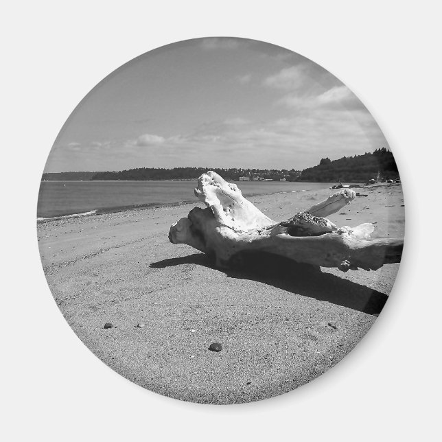 Driftwood Discovery Park Magnet (Framsidan)