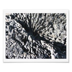 Driftwood Fototryck