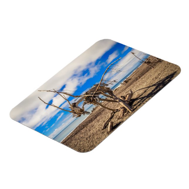 Driftwood-grafik på Hokitika Beach, Nya Zeeland Magnet (Vänstra Sidan)