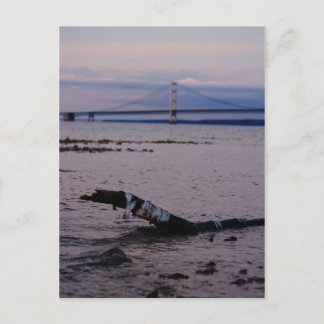 Driftwood i Sjö Michigan Vykort