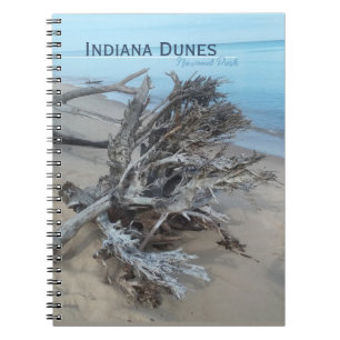 Driftwood Indiana Dunes National Park Magnet Post Anteckningsbok
