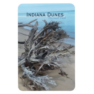 Driftwood Indiana Dunes nationalpark Magnet