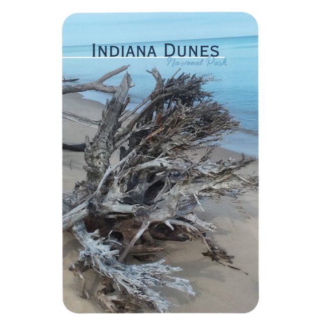 Driftwood Indiana Dunes nationalpark Magnet (Vertikal)