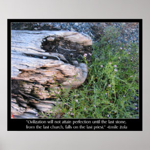 Driftwood och Zola citationstecken Poster