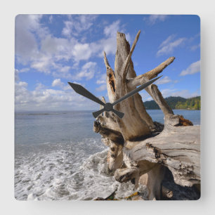 Driftwood på shorelinen av den franska stranden fyrkantig klocka