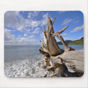 Driftwood på shorelinen av den franska stranden musmatta