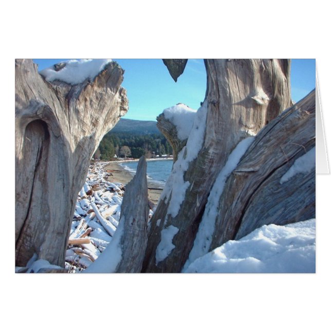 Driftwood Snö Glistens Hälsningskort (Framsidan Horizontal)
