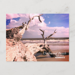 Driftwoodstrand, Jekyll ö, Georgia Vykort