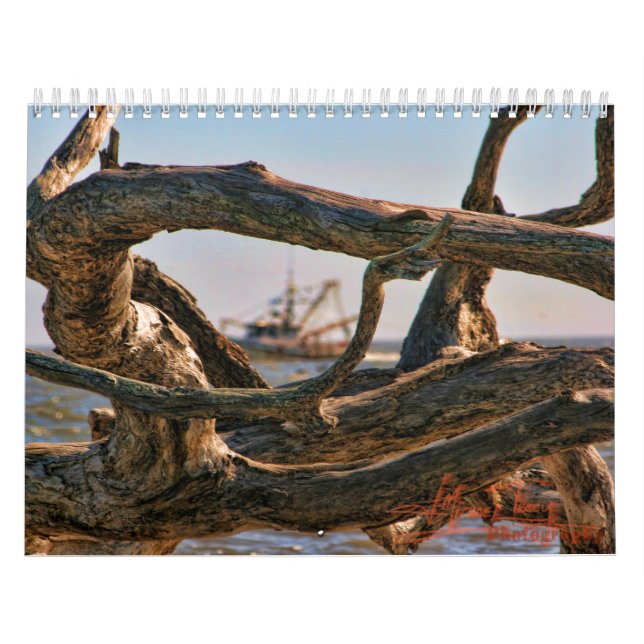 Driftwoodstrandcalander Kalender (Omslag)