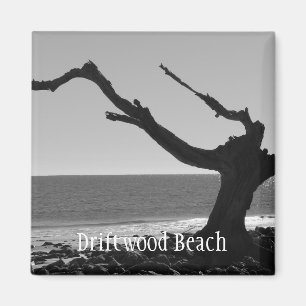 driftwoodstrandmagnet magnet