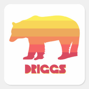 Driggs Idaho Rainbow Bear Fyrkantigt Klistermärke