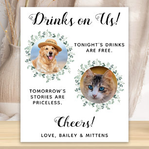 Drinken Bjuder Vi Hund Öppen Bar Foto Husdjur Bröl Poster