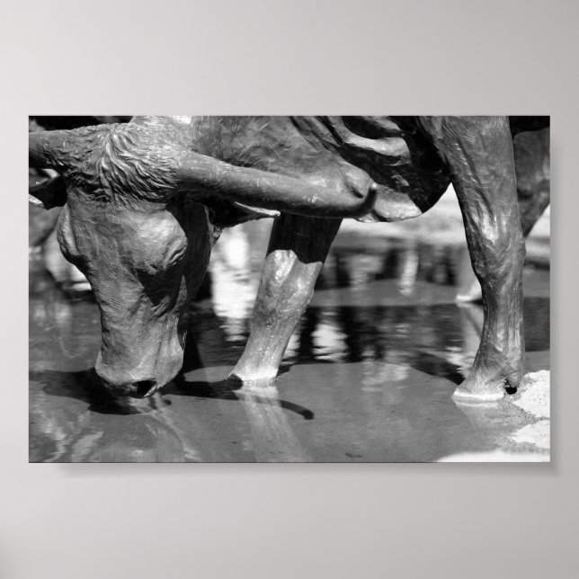 Drinking Longhorn Poster (Framsidan)