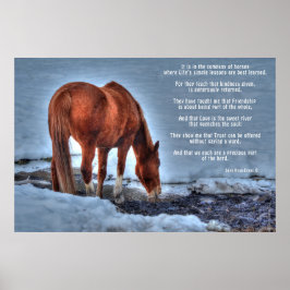 Drinking Red Dun Ranch Horse & Equine Dikt Poster