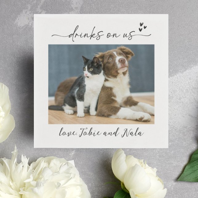 Drinks on US Hund Cat Photo Reception Cocktail Pappersservett (Skapare uppladdad)