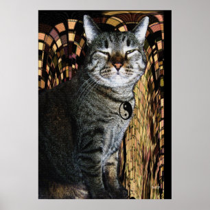 Driva av Purrsuasion Poster