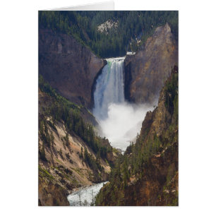 Driva av Yellowstone OBS Kort