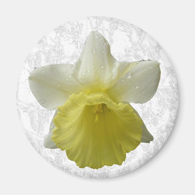 Driva Daffodil Magnet (Framsidan)