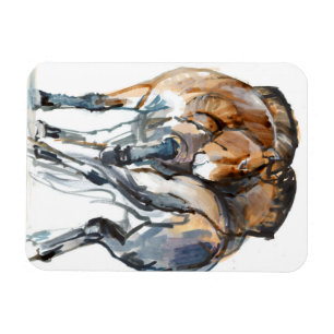 Driva dansen magnet
