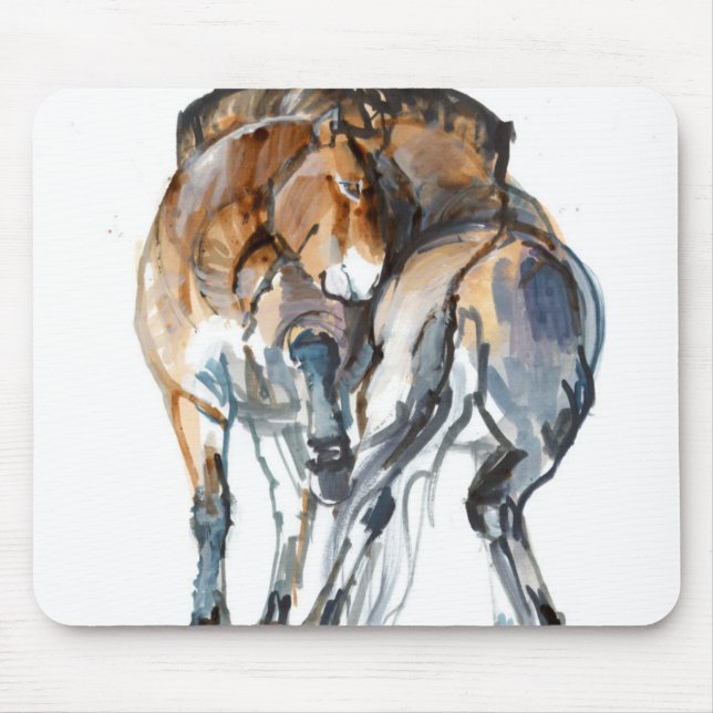 Driva dansen musmatta (Framsidan)