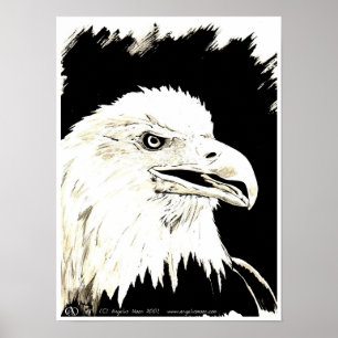 Driva Poster