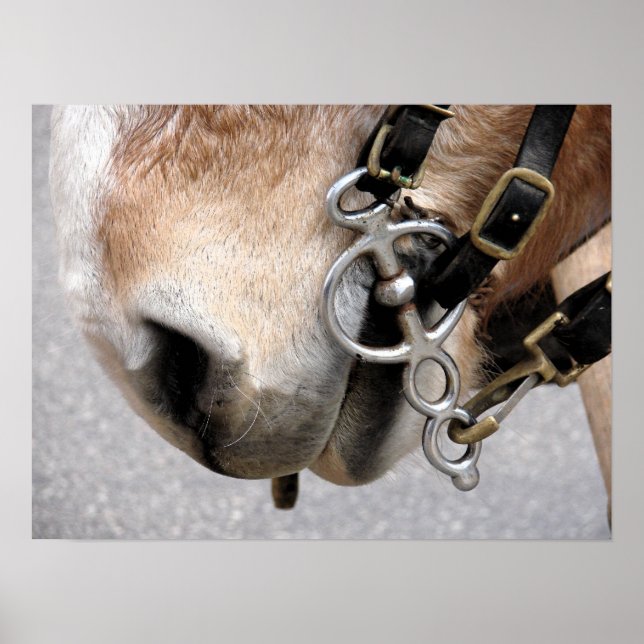 Drivbit Poster (Framsidan)