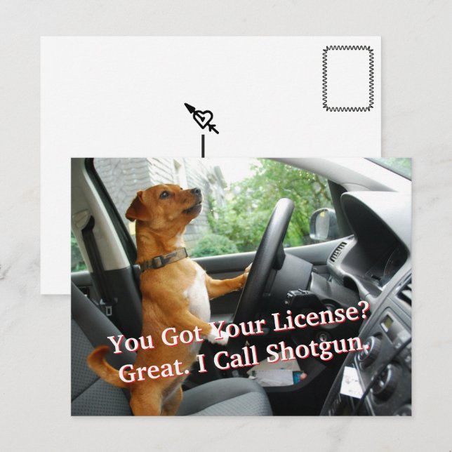 Driver’s License Congratulations Postcard Vykort (Fram/baksida)