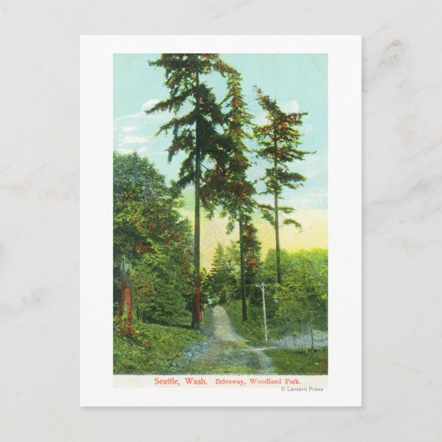Driveway View på Woodland Park Vykort (Framsida)
