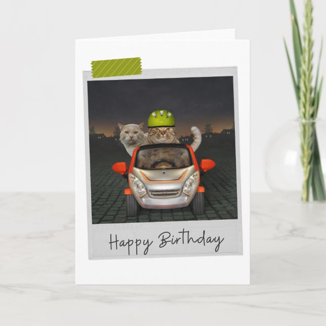 Driving Cats Funny Birthday Card Kort (Framsida)