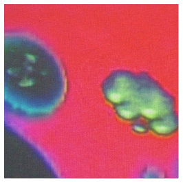 Drivning Reverie Fabric Tyg