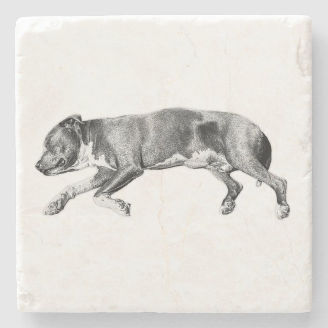 Drivning till Lugn - Detaljerat Hund Stenunderlägg (Framsidan)