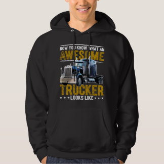 Drivrutinen Fantastisk Trucker Big Rig Semi-Traile Hoodie