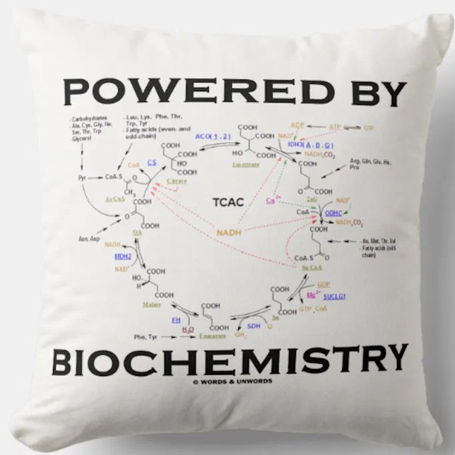 Drivs av biokemi Krebs Cycle Geek Humor Kudde (Throw pillow featuring Krebs cycle (citric acid cycle) for anyone "Powered By Biochemistry")