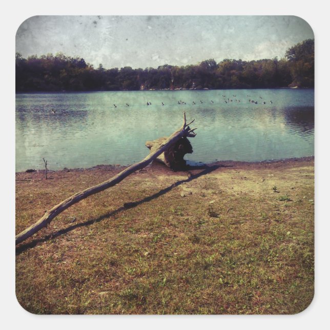 Drivträ Fyrkantigt Klistermärke (Framsida)