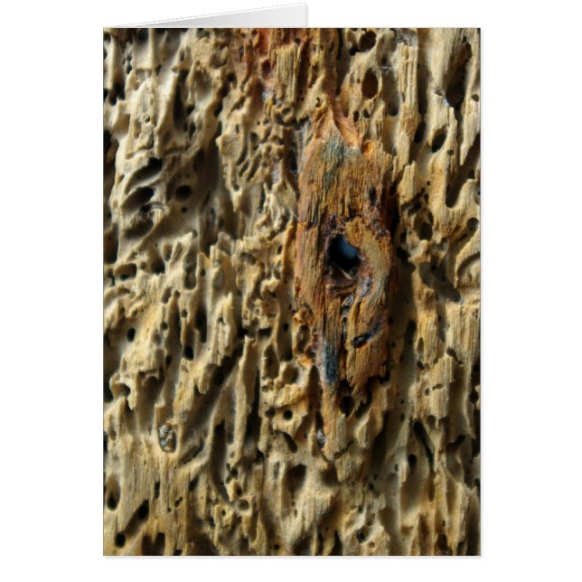 Drivträ Hälsningskort (Framsidan)