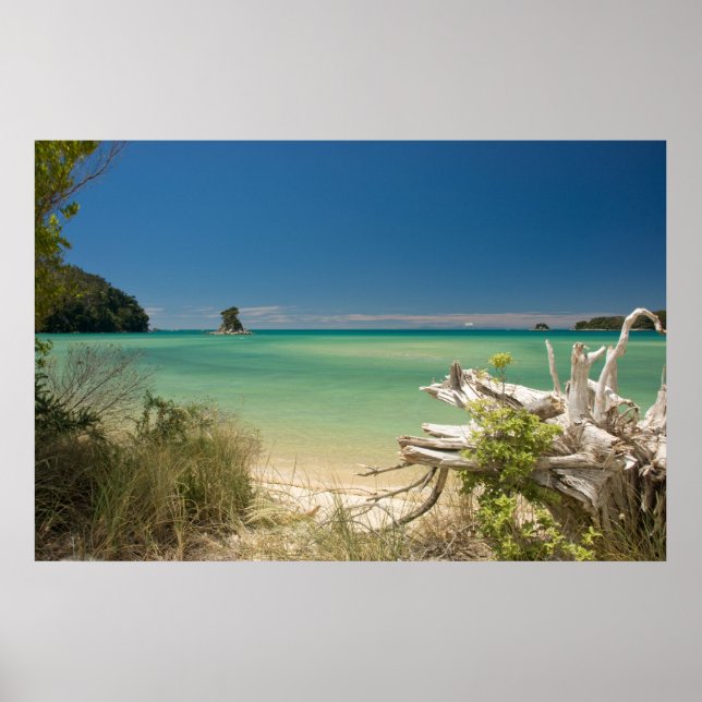 Drivträ Poster (Framsidan)