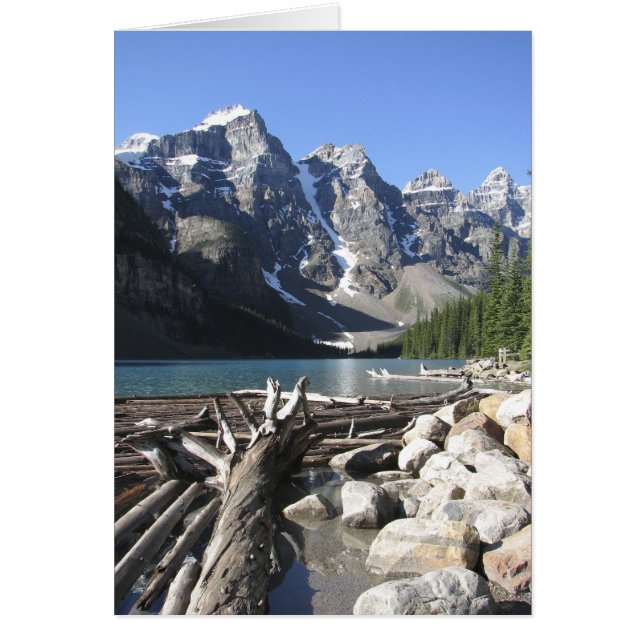 Drivträ, tomt gratulationskort hälsningskort (Framsidan)