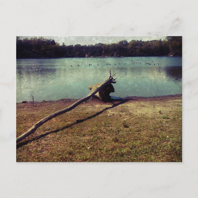 Drivträ Vykort (Framsida)