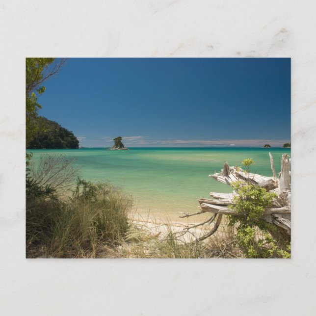 Drivträ Vykort (Framsida)