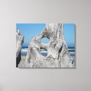 Drivved Canvas Fotografi tryck Kust