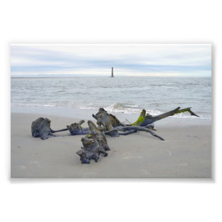 Drivved, Morris Island Lighthouse South Carolina Fototryck
