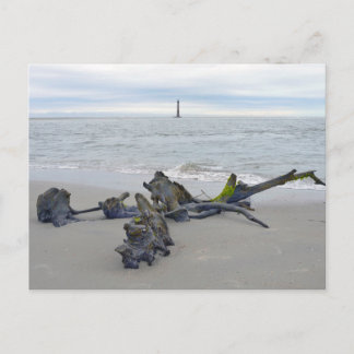 Drivved, Morris Island Lighthouse South Carolina Vykort