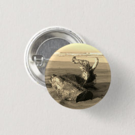 Drivved Stock Costa Rica Strand Foto Pinback Pin Knapp