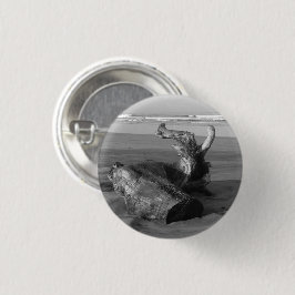 Drivved Stock Costa Rica Strand Foto Pinback Pin Knapp