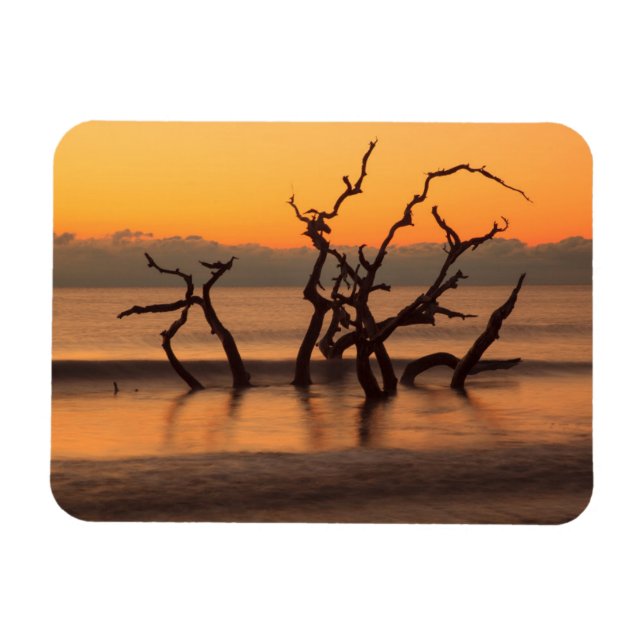 Drivvedsstranden vid soluppgången Jekyll Island Ge Magnet (Horisontell)